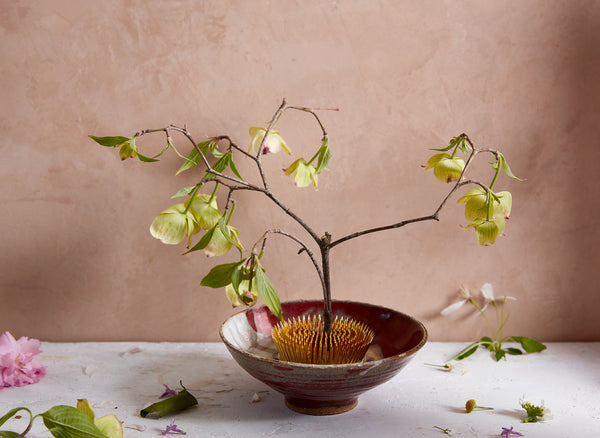 Kenzan Flower Frog | BELLOCQ Tea Atelier