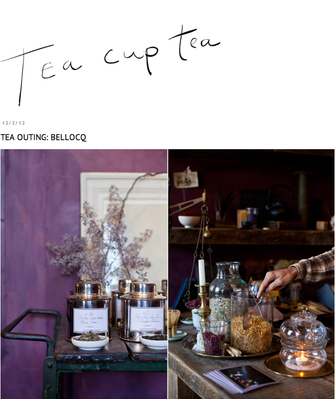 Tea Cup Tea - Bellocq