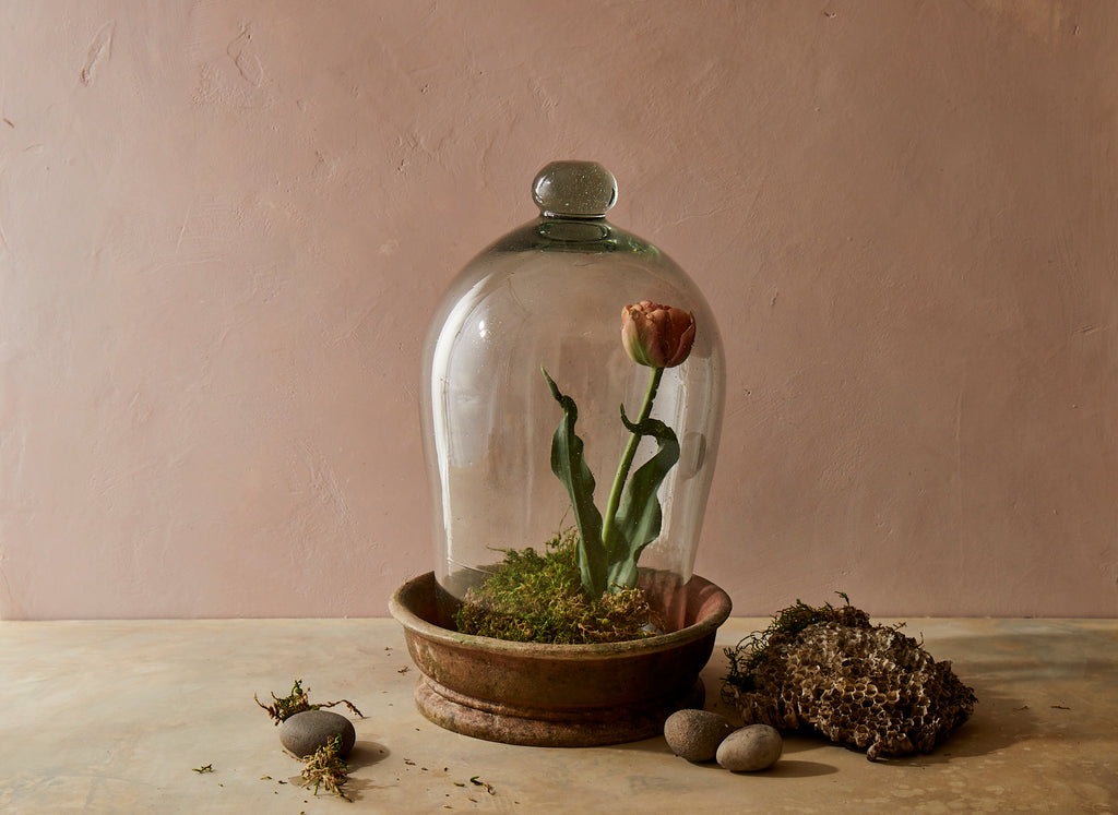 Hand Blown Glass Terrarium w/ Aged Terracotta Base