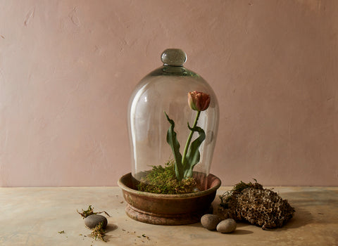 Hand Blown Glass Terrarium w/ Aged Terracotta Base