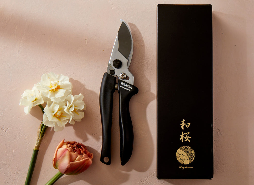 Japanese Carbon Steel Bypass Pruning Shears