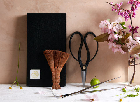 Gifts for Bonsai Lovers