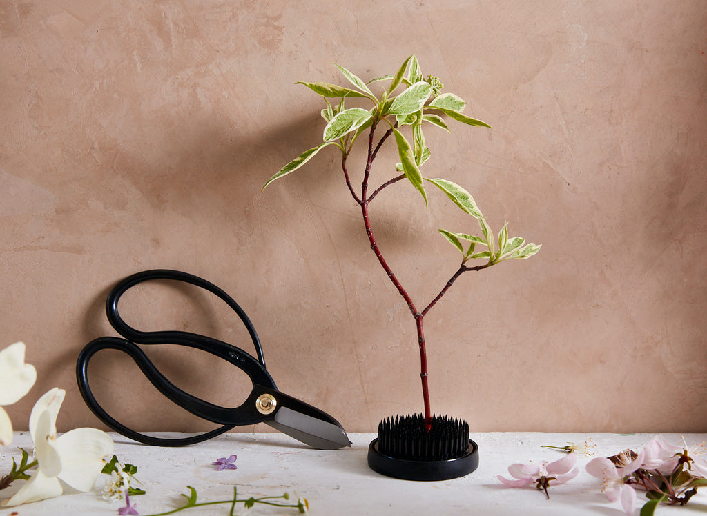 Koryu Ikebana Scissors: Primarily designed for Ikebana flower arrangement, these artisan-forged, carbon-steel scissors include a long shank and short blades making them delightfully versatile and beginner friendly. 