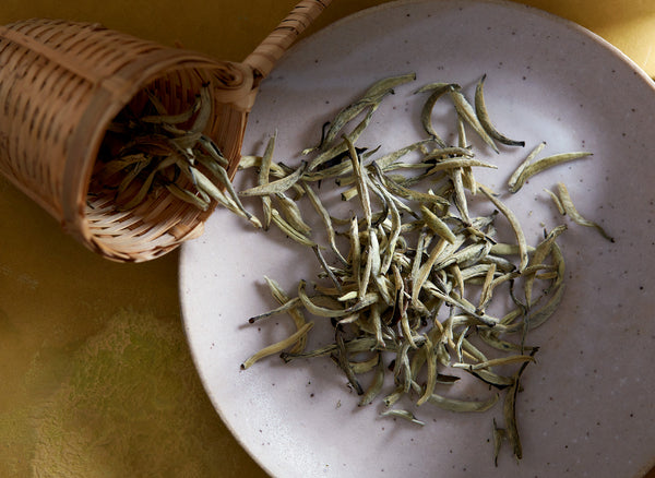 Luxury Loose Leaf Tea | BELLOCQ Tea Atelier