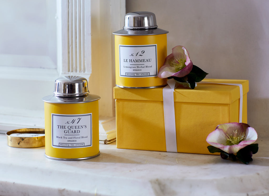 Bellocq Afternoon Collection
