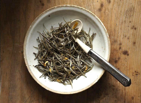 No. 09, The White Duke